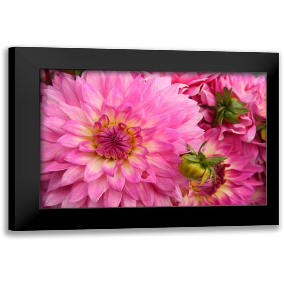 Love, Maureen 18x13 Black Modern Framed Museum Art Print Titled - Spring Garden II