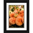 thumbnail image 1 of Love, Maureen 23x32 Black Ornate Wood Framed with Double Matting Museum Art Print Titled - Peach Dalhia II, 1 of 4