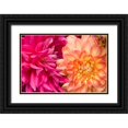 thumbnail image 1 of Love, Maureen 24x17 Black Ornate Wood Framed with Double Matting Museum Art Print Titled - Fuschia Dalhia IV, 1 of 4