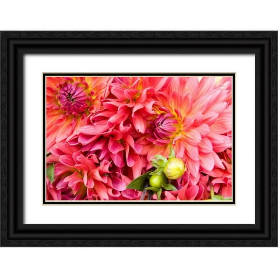 Love, Maureen 32x23 Black Ornate Wood Framed with Double Matting Museum Art Print Titled - Pink Dalhia III