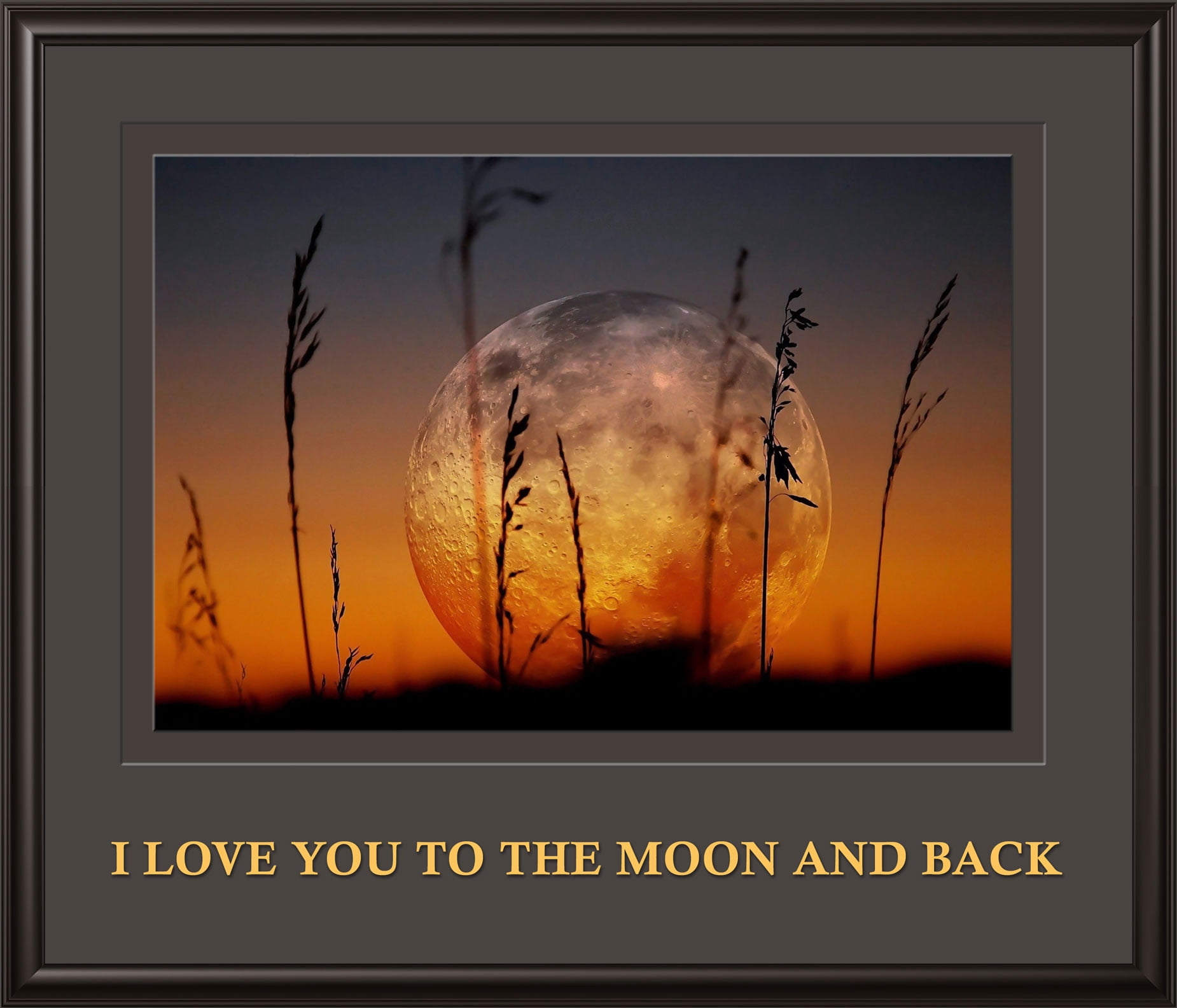 Love Quotes Photographic Print Poster 24"x28" I love you to the moon ...