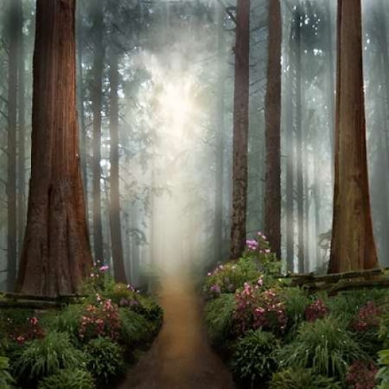 Love Walks with You Canvas Art - David M Maclean (24 x 24)