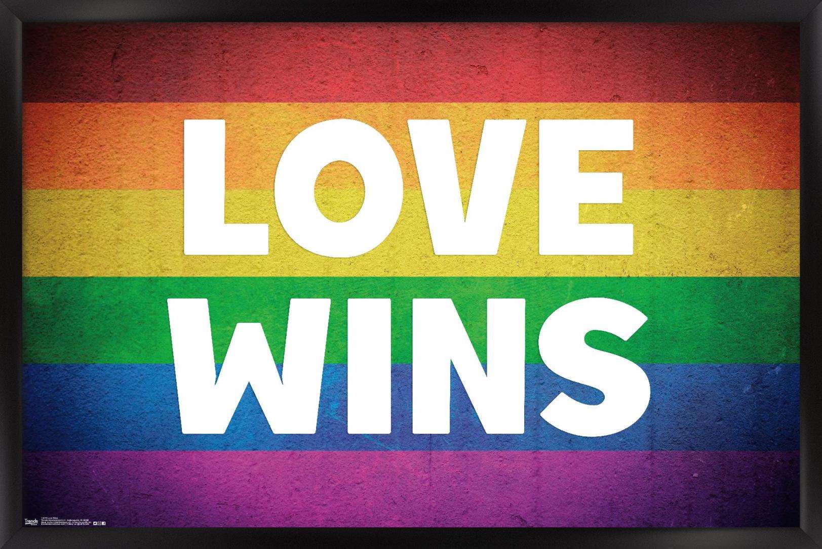 Love Wins Wall Poster, 14.725" x 22.375", Framed