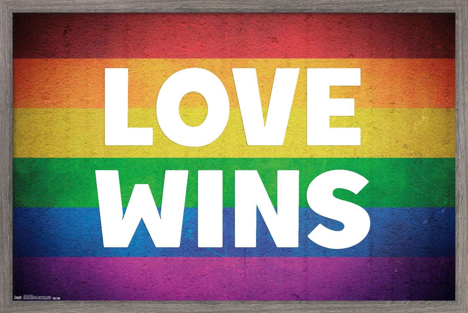 Love Wins Wall Poster, 22.375" x 34", Framed