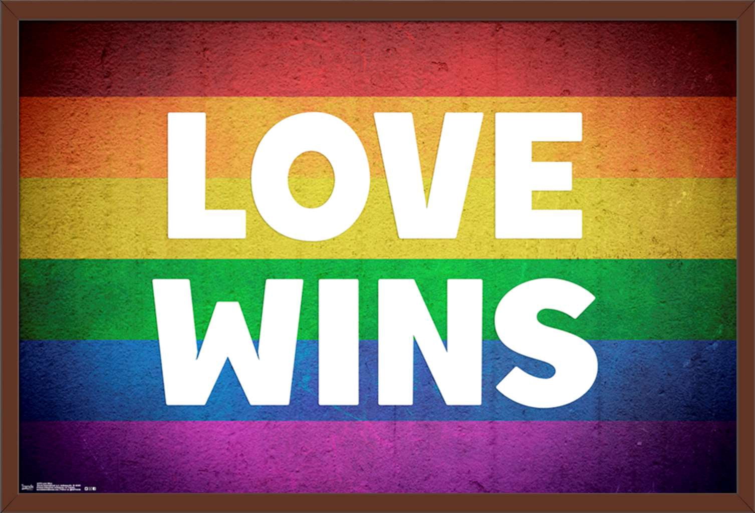 Love Wins Wall Poster, 22.375" x 34", Framed