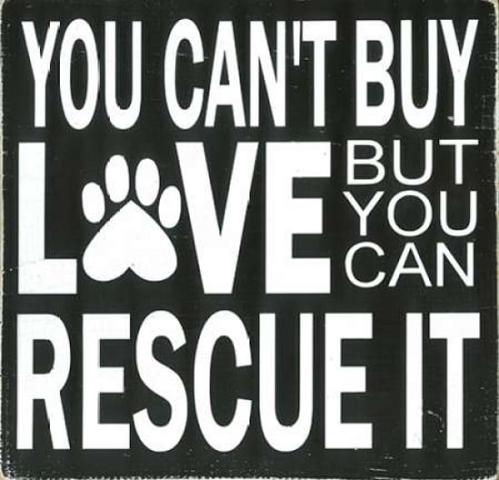 Love a Rescue Canvas Art - Erin Deranja (24 x 24)