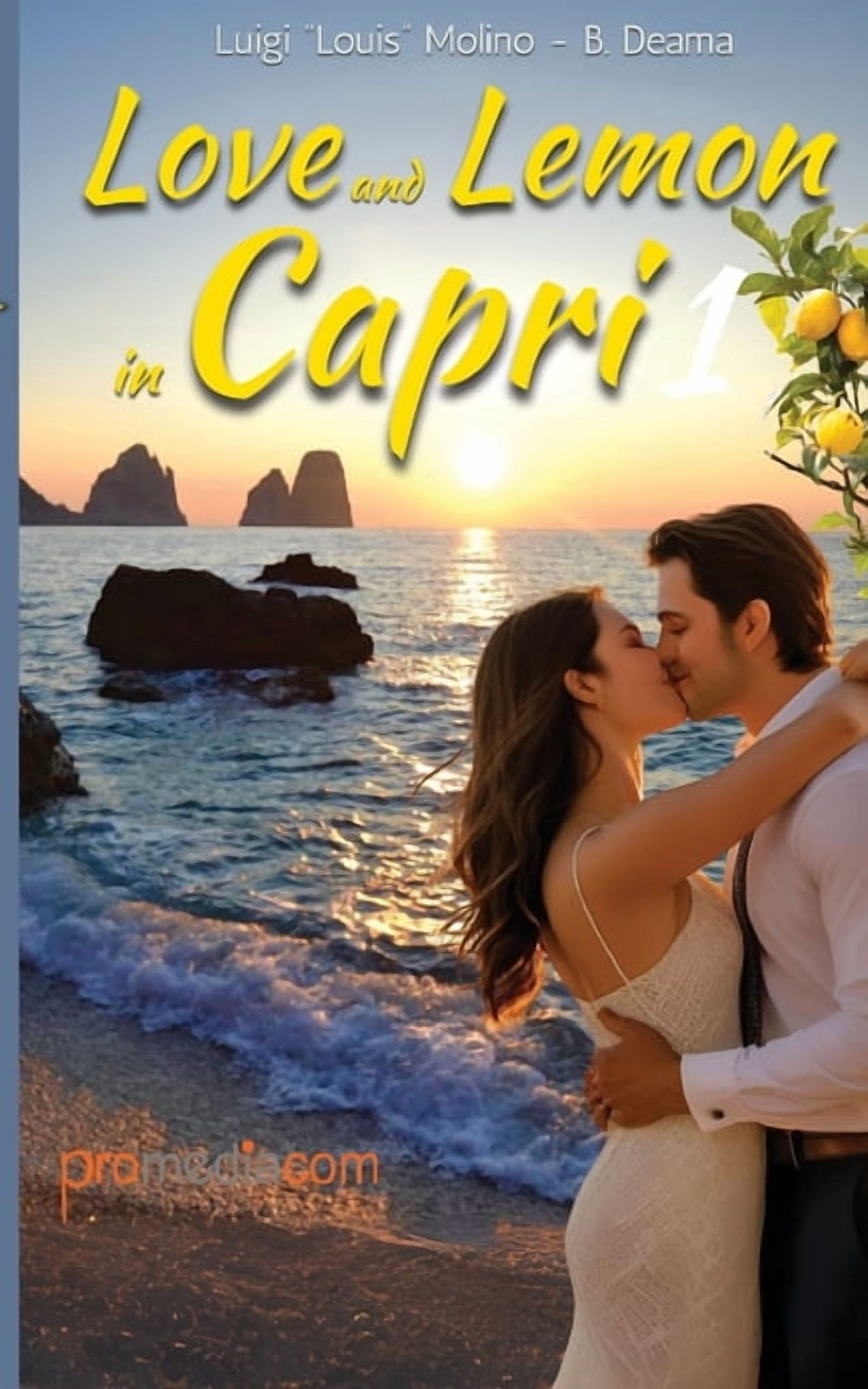 Love and Lemon in Capri 1: Italian Summer Romance From Heartbreak and Despair to Love in Capr, (Paperback)