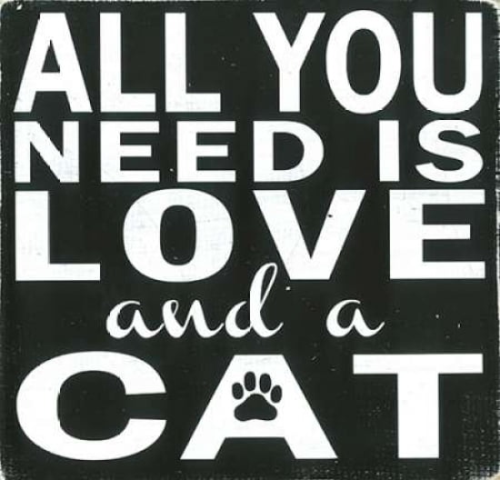 Love and a Cat Canvas Art - Erin Deranja (24 x 24)