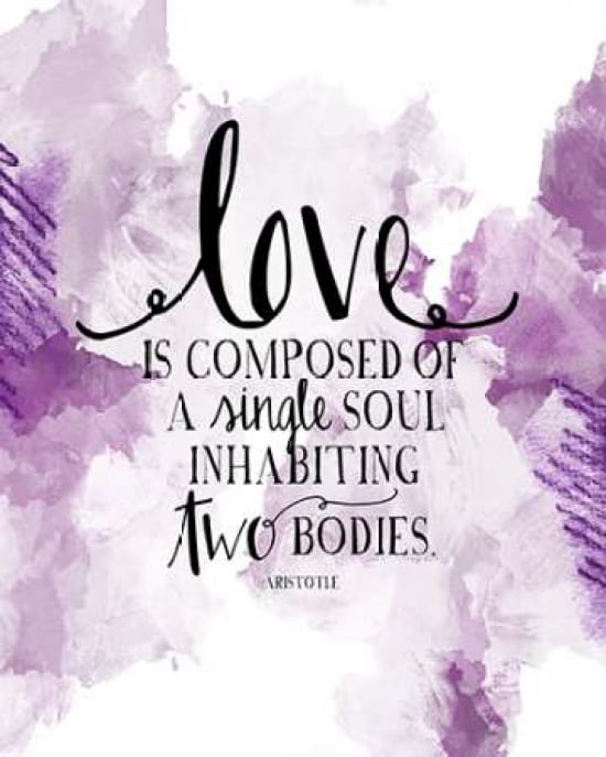 Love by Aristotle Canvas Art - Amy Cummings (24 x 30)