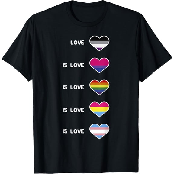 Love is Love Pride Shirt, LGBT, Bisexual, Trans Tee T-Shirt