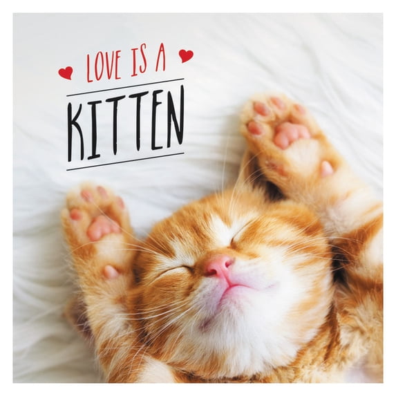 Love is a Kitten : A Cat-Tastic Celebration of the World’s Cutest Kittens (Hardcover)