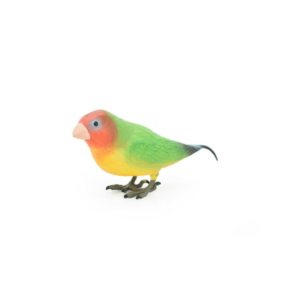 Lovebird Toy, Parrot, Bird, Very Realistic Rubber Figure, Model, Educational, Animal, Hand Painted Figurines, 5" CH086 BB83