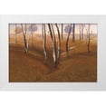 thumbnail image 1 of Lovelace, Kent 32x23 White Modern Wood Framed Museum Art Print Titled - French Oaks, 1 of 4