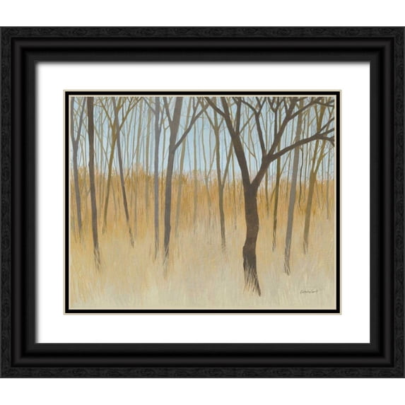 Lovell, Kathrine 14x12 Black Ornate Wood Framed with Double Matting Museum Art Print Titled - Misty Woods