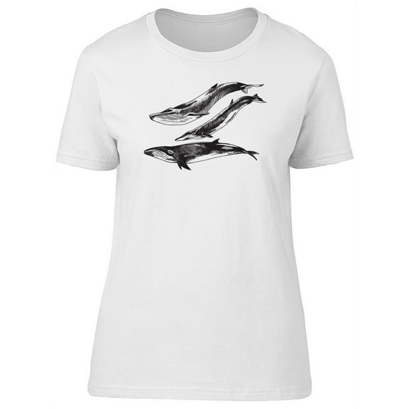 Lovely Amazing Whales Sketch Tee Women's -Image by Shutterstock