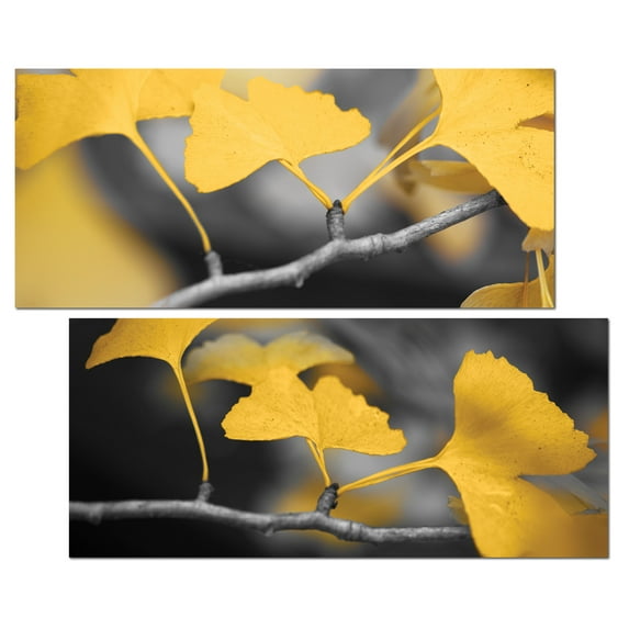 Lovely Blooming Yellow Ginkgo Branch Photograph Prints; Two 18x8in Poster Prints