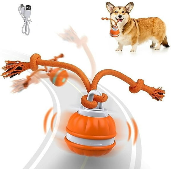 Lovely Caves Interactive Smart Ball Dog Toy with Rope, Orange