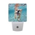 thumbnail image 1 of Lovely Dog Swims in Water LED Night Light with Smart Sensor Plug Into Wall Dusk to Dawn 2 packs, 1 of 7
