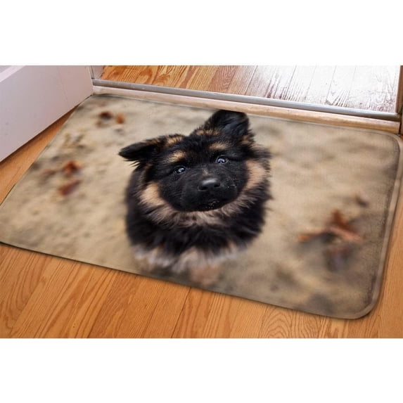 I Believe in You You Can Do It Door Mat Indoor Rug Doormat Door Rugs Indoor Entrance Floor Mat Non Slip Decor Welcome Mats Gift for Women Men 30 * 18 Inch