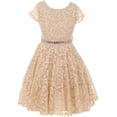 thumbnail image 1 of Lovely Floral Lace Rhinestones Skater Party Easter Flower Girl Dress for Little Girl Champagne 2 JK19.88S BNY Corner, 1 of 2