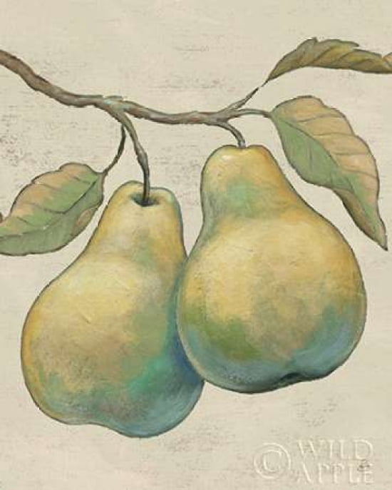 Lovely Fruits I Neutral Plain Canvas Art - Daphne Brissonnet (24 x 30)