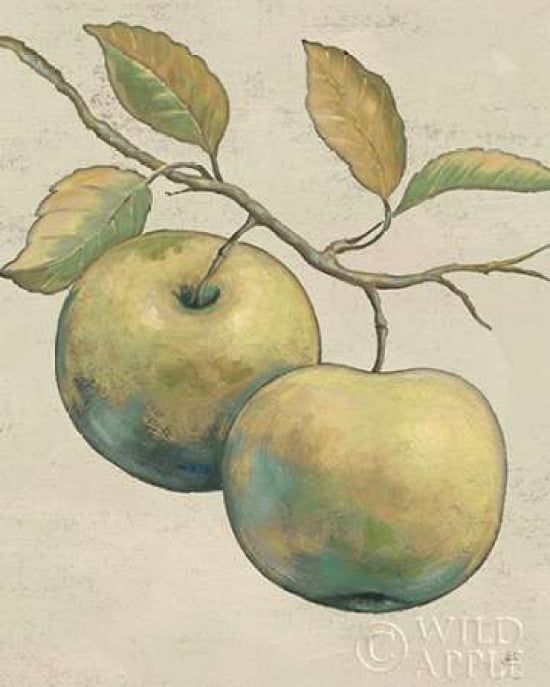 Lovely Fruits II Neutral Plain Canvas Art - Daphne Brissonnet (24 x 30)