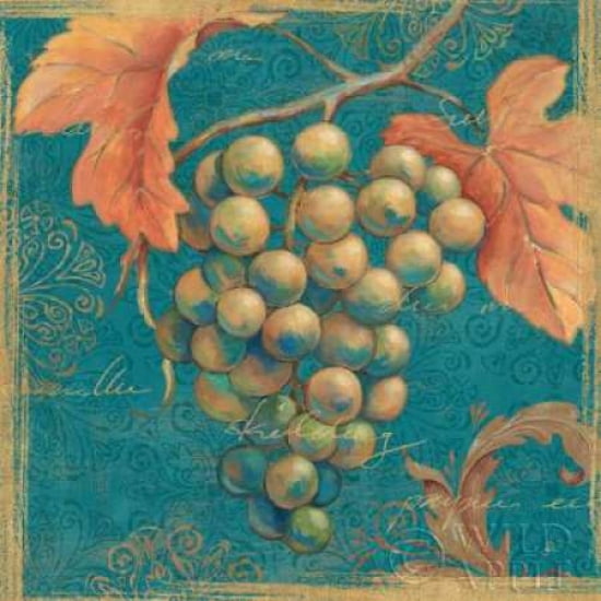 Lovely Fruits IV Canvas Art - Daphne Brissonnet (24 x 24)