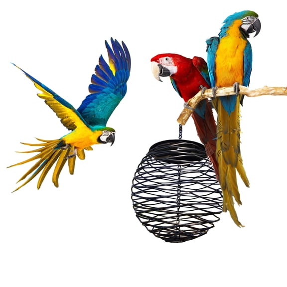 Lovely Hanging Food Container for Bird Lovebirds Budgies Large Windproof Design Basket Dispenser Garden Decors