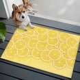 thumbnail image 1 of Lovely Lemon Front Door Rugs 2x3 ft Simple Yellow Fruit Slices Pastoral Botanical Small Rug for Entryway Non Slip Washable Bathroom Door Mat Absorbent Floor Mat for Indoor Entrance, 1 of 9