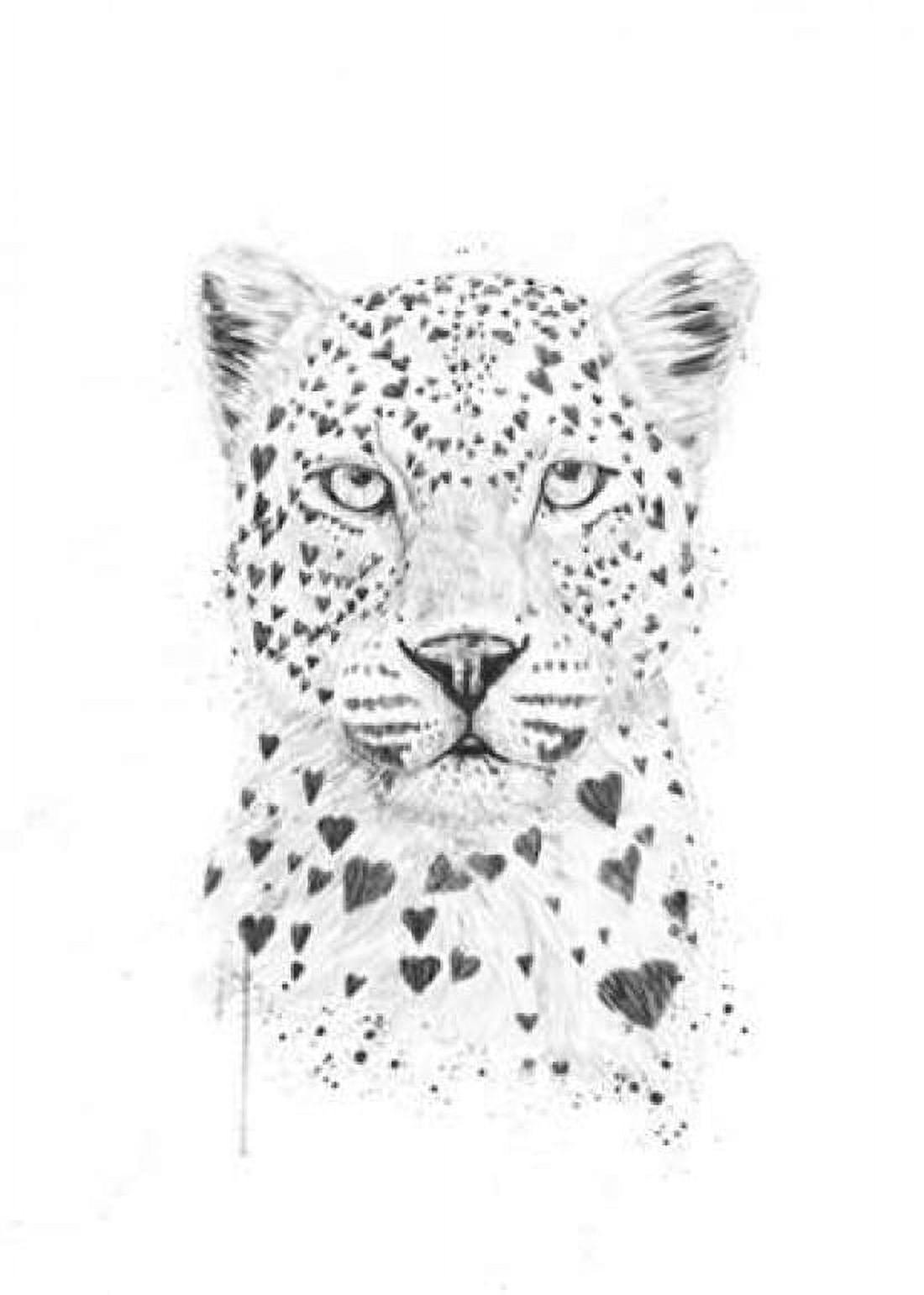 Lovely Leopard Canvas Art - Balazs Solti (20 x 28)