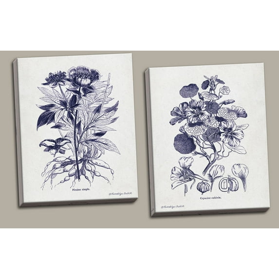 Lovely Old-Fashioned Indigo Plant Botanical Prints; Two 11x14in Hand-Stretched Canvases