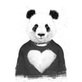 thumbnail image 1 of Lovely Panda Poster Print by Balazs Solti (9 x 12), 1 of 2