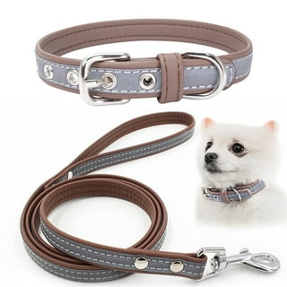 Matching boy and girl dog collars clearance