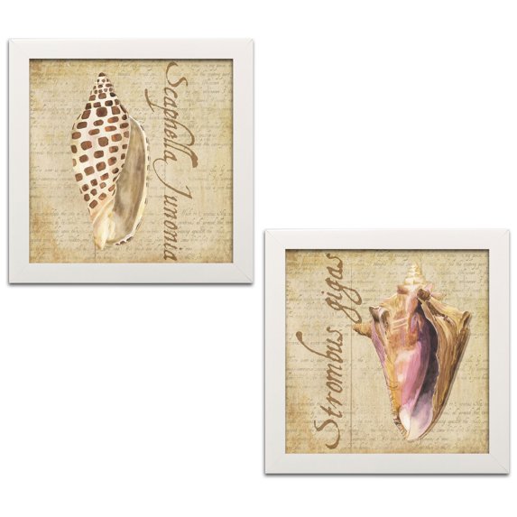 Lovely Tan and Brown Ocean Sea Shell Set by Tara Reed; Coastal Décor; Two 12x12in White Framed Prints