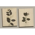thumbnail image 1 of Lovely Vintage-Style Pressed Botanical Leaves Set; Two 11x14in Canvases, 1 of 1