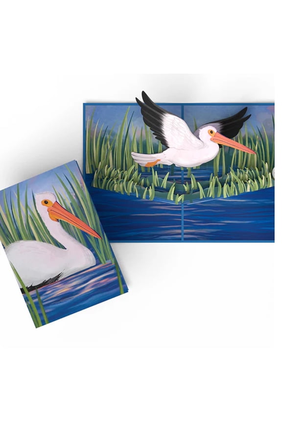 Pelican In The Marsh Beautiful Pop-Up Greeting Card