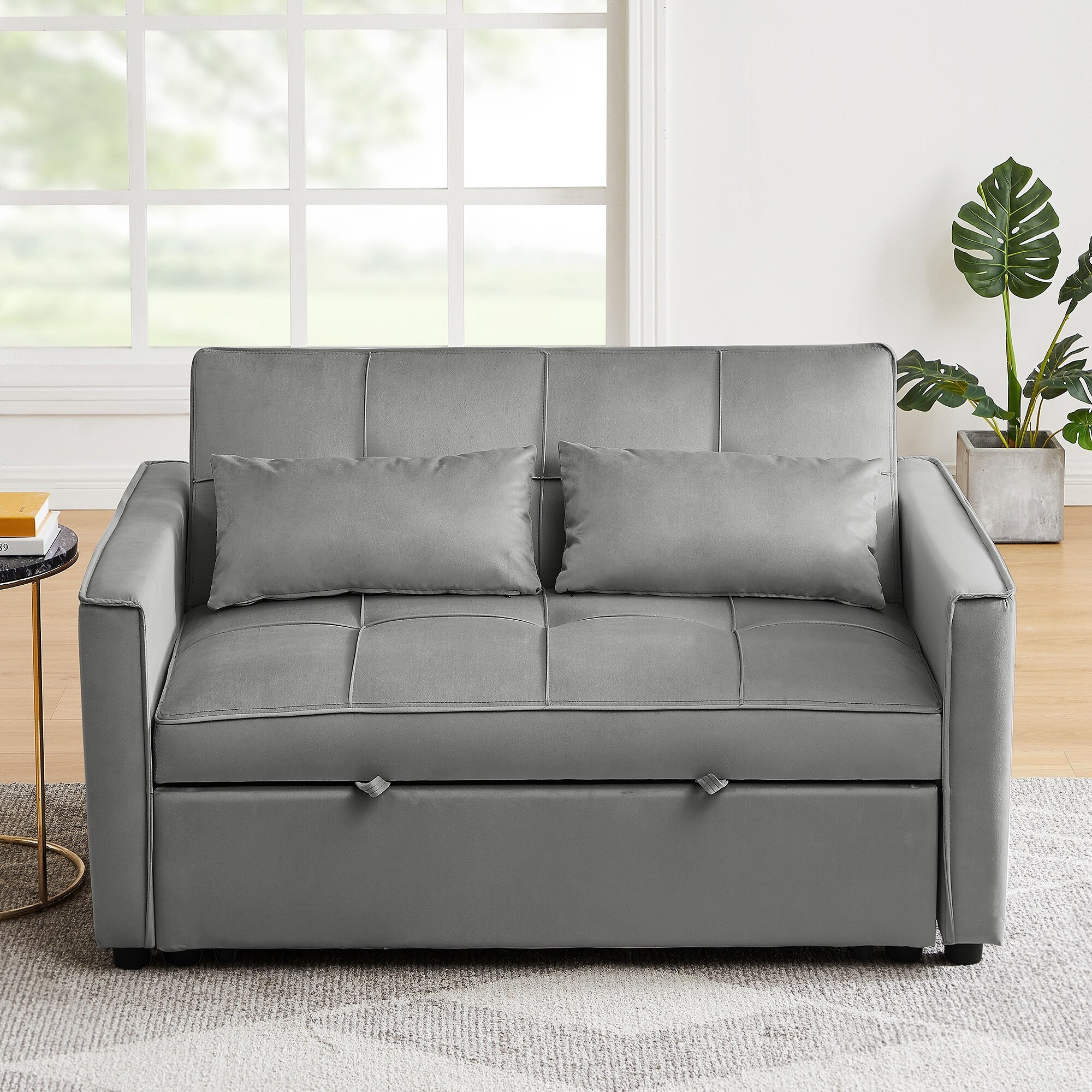 Loveseats Sofa Bed with Pullout BedAdjsutable Back