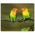 thumbnail image 1 of Loving Birds Mouse pads Gaming Mouse Pad 9.84x7.87 inches, 1 of 3