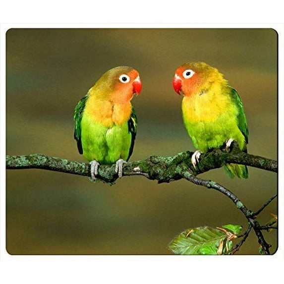 Loving Birds Mouse pads Gaming Mouse Pad 9.84x7.87 inches