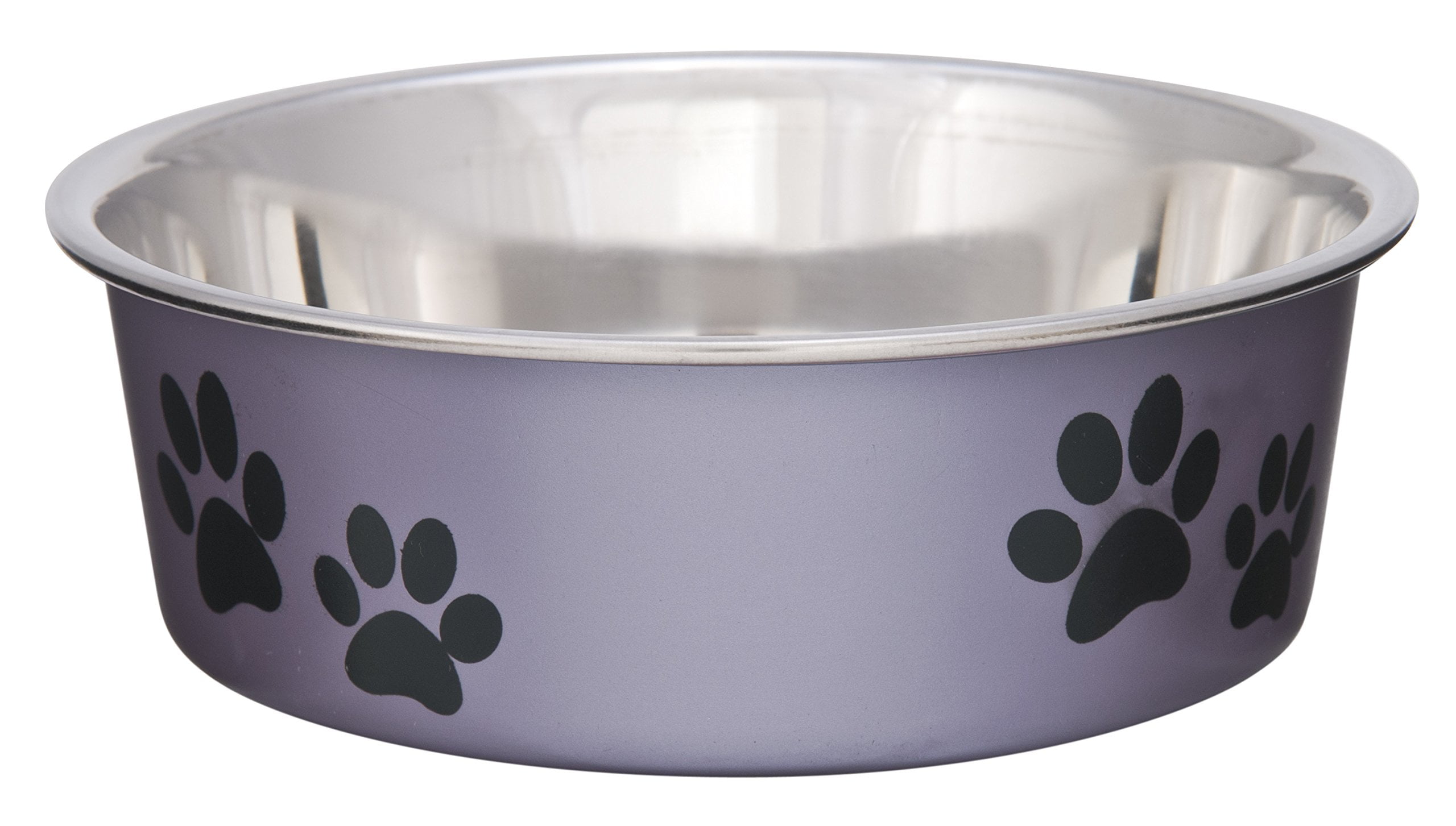 Small Grape Stainless Steel Dog Bowl with Rubber Base