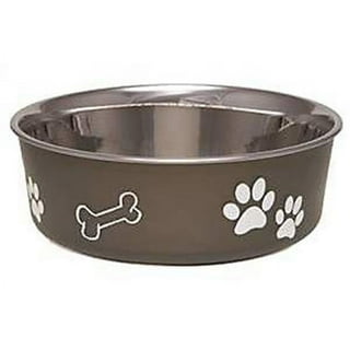 Kong dog cheap dish
