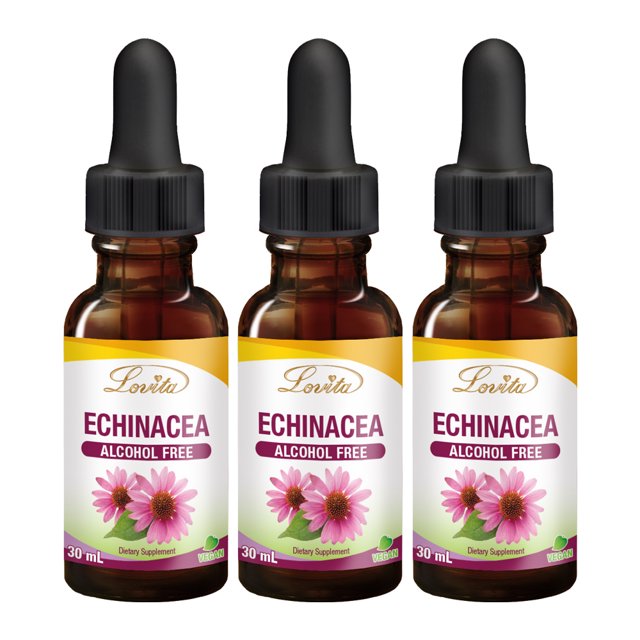 Lovita Echinacea Liquid, Echinacea Extract 350mg per Serving, Immunity Formula with Elderberry