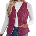 thumbnail image 1 of Lovzfmll Fall Jackets for Women, Solid Color Sleeveless Vest, Cotton Wadded Plush Quilted Puffer, Winter Clothing, 1 of 9