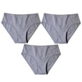 thumbnail image 1 of Lovzfmll Underwear for Women Briefs, Women Everyday Solid Color Ventilate High Waist Elastic Underwear Panties Briefs Soft Stretch Comfy Bikini Panties 3PC (Gray) M, 1 of 3