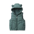 thumbnail image 1 of Lovzfmll Toddlers Kids Boys Girls Animal Ear Puffer Vest, Hooded Cotton Filled Design, Cute Warm Winter Coat for 1-7 Years, 1 of 8