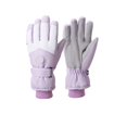 thumbnail image 1 of Lovzfmll Unisex Ski & Riding Gloves, Touchscreen Winter Gloves, Fleece Lined Windproof Outdoor Sports Handwear, Durable Exterior, Purple, 1 of 2