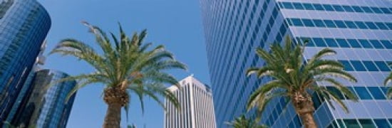 Low Angle View Of Downtown Office District Los Angeles California USA Canvas Art - Panoramic Images (36 x 12)