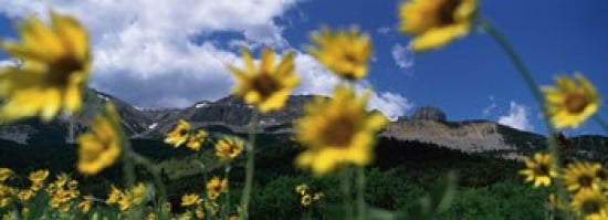 Low Angle View Of Mountains Montana USA Canvas Art - Panoramic Images (36 x 13)