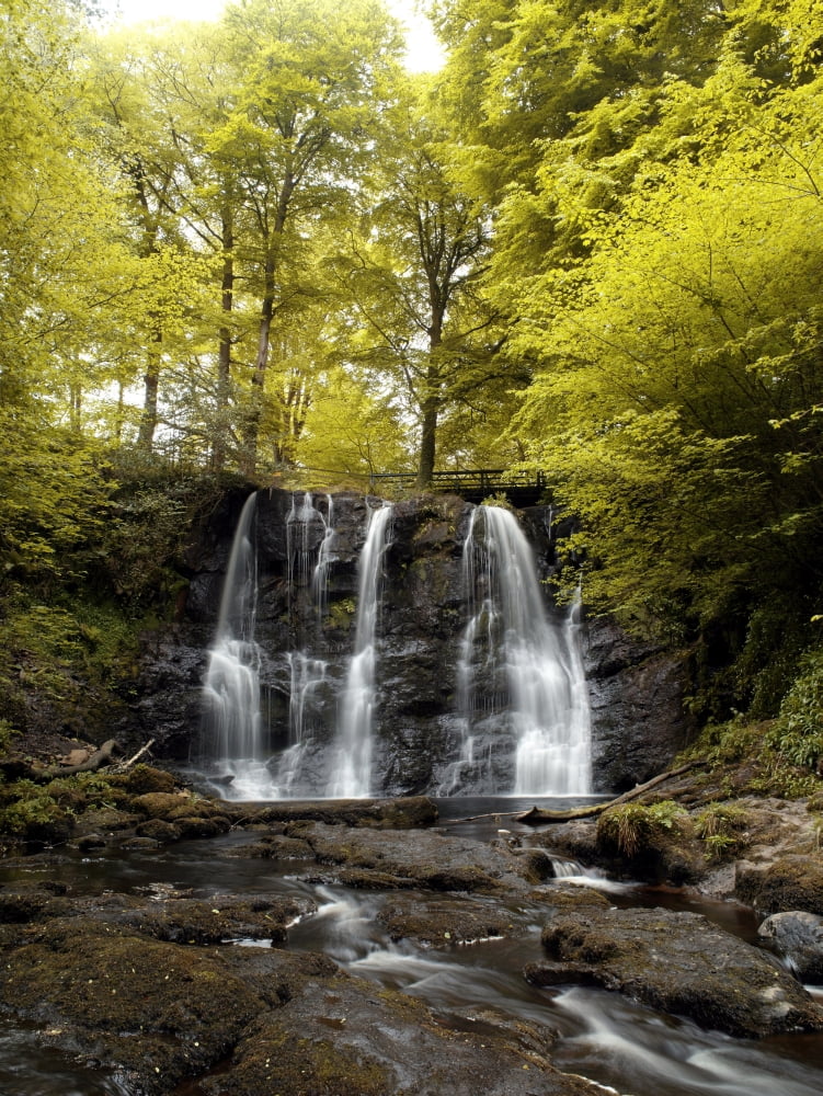 Low Angle View Of A Waterfall In A Forest Glenariff Waterfall County Antrim Northern Ireland Canvas Art - The Irish Image Collection Design Pics (12 x 16)