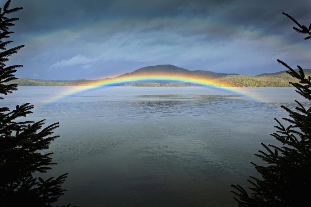 Low Arching Rainbow Over The Waters Of Clover Passage Ketchikan Southeast Alaska Spring Canvas Art - Sunny Awazuhara- Reed Design Pics (19 x 12)